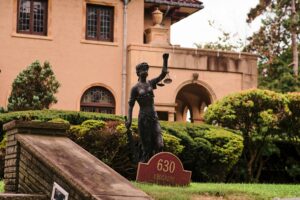 pexels photo 28173134 10