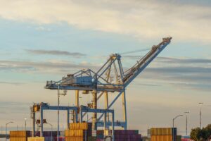 pexels photo 36060443