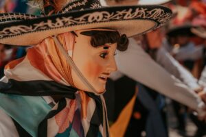 pexels photo 36204142